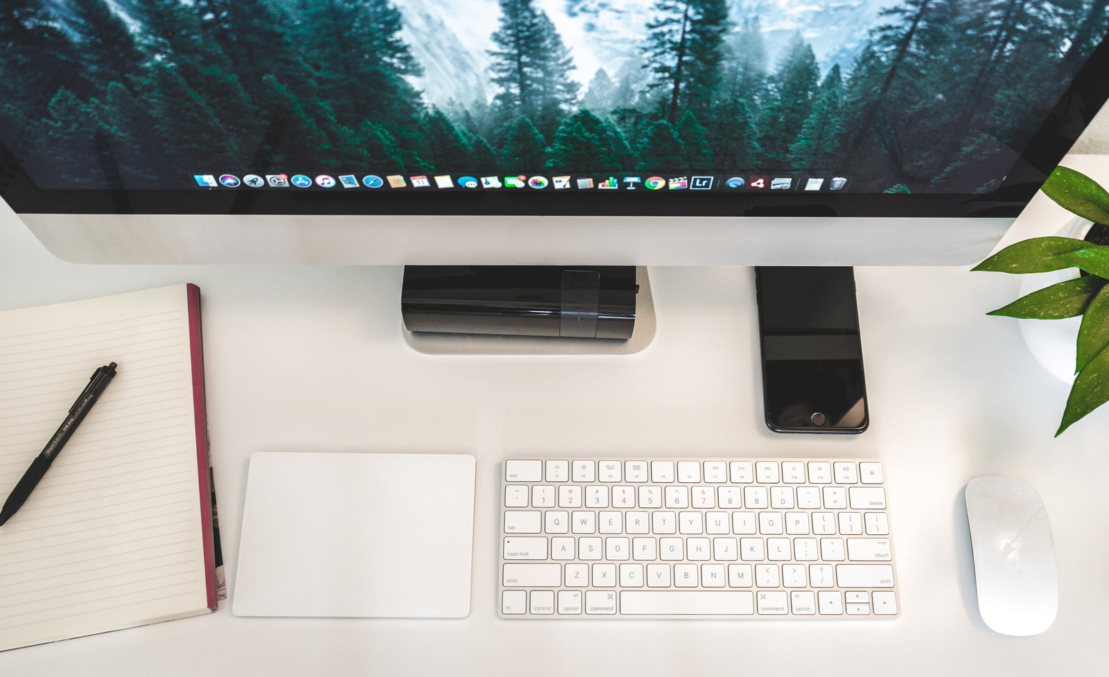 Simple Business Website with Multimedia